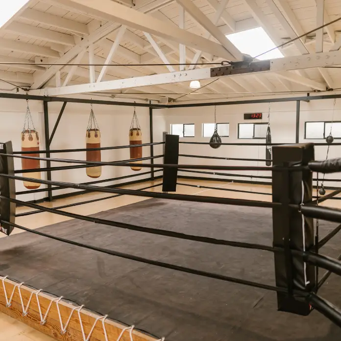 EDI vs. API blog boxing ring image